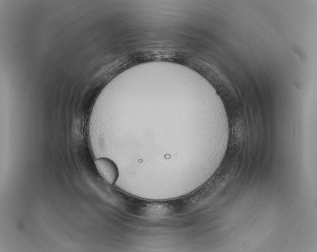 X0000110970218200907171717
