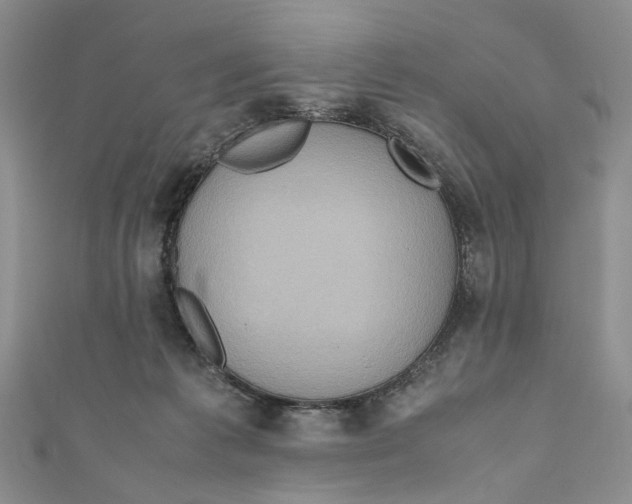 X0000110970221200907171717