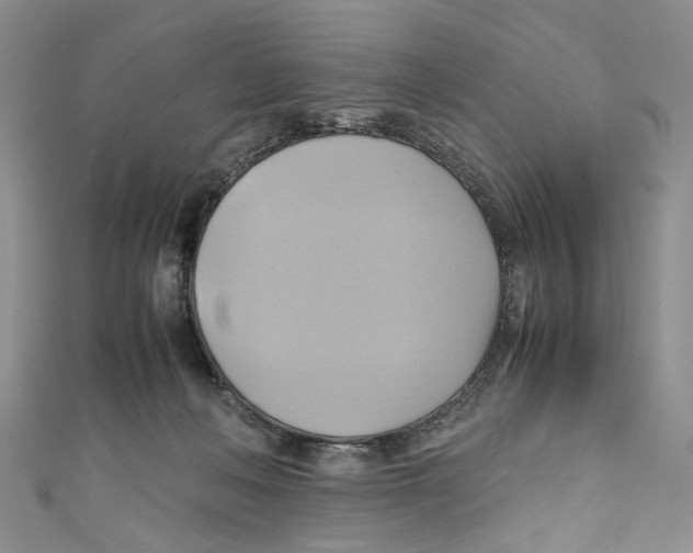 X0000110970222200907171717