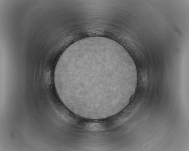 X0000110970224200907171717