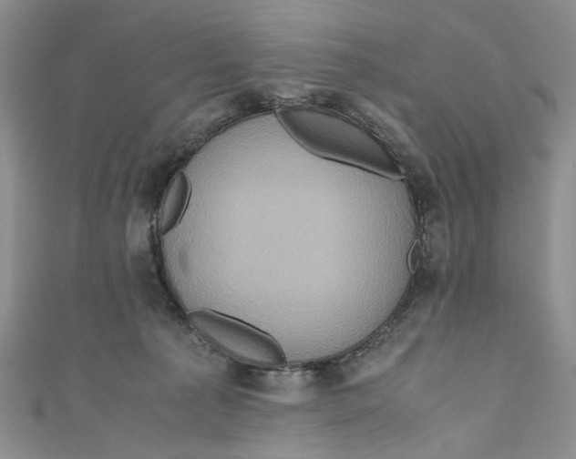 X0000110970225200907171717