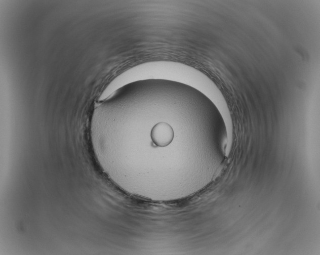 X0000110970229200907171717