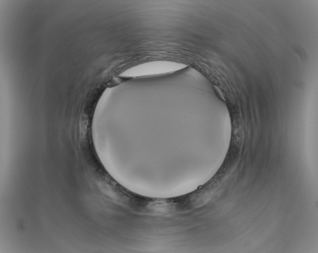 X0000110970231200907171717