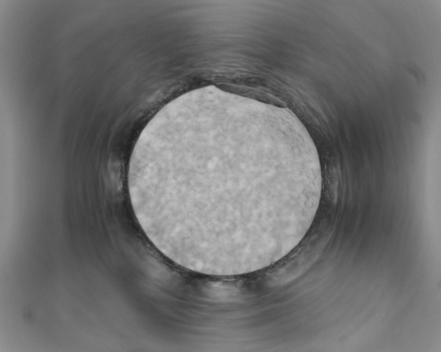 X0000110970232200907171717