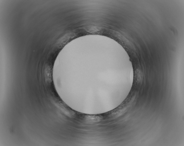 X0000110970234200907171717