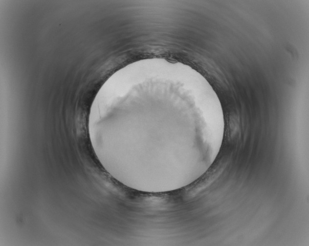 X0000110970236200907171717