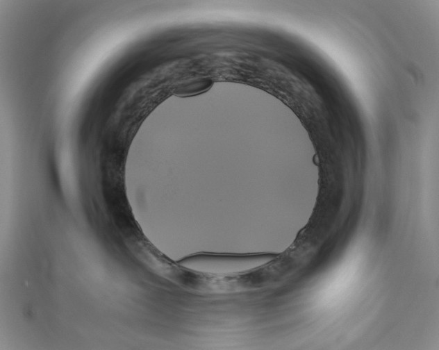 X0000110970239200907171717