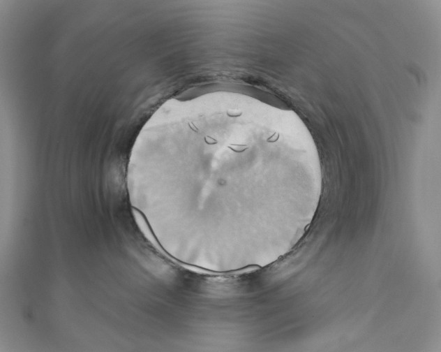 X0000110970240200907171717
