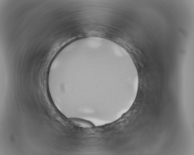 X0000110970241200907171717