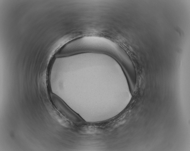 X0000110970244200907171717