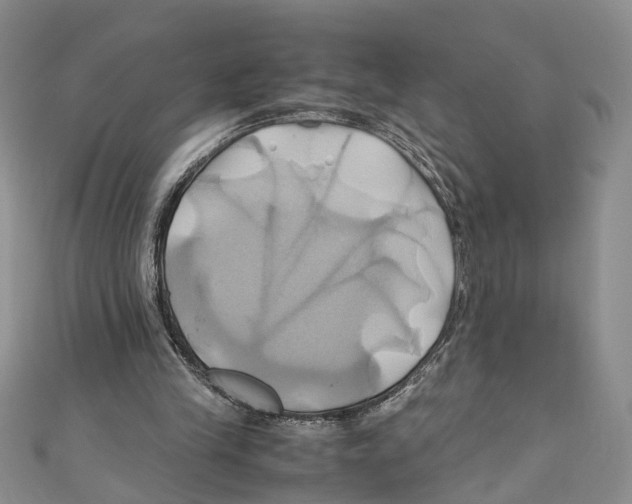 X0000110970245200907171717