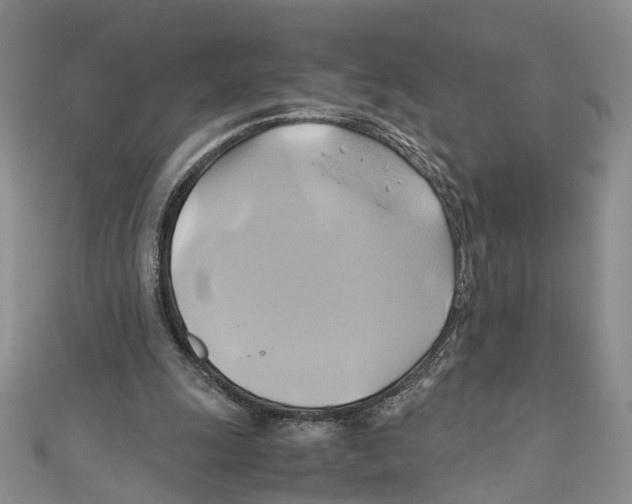 X0000110970247200907171717