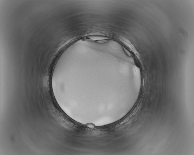 X0000110970249200907171717