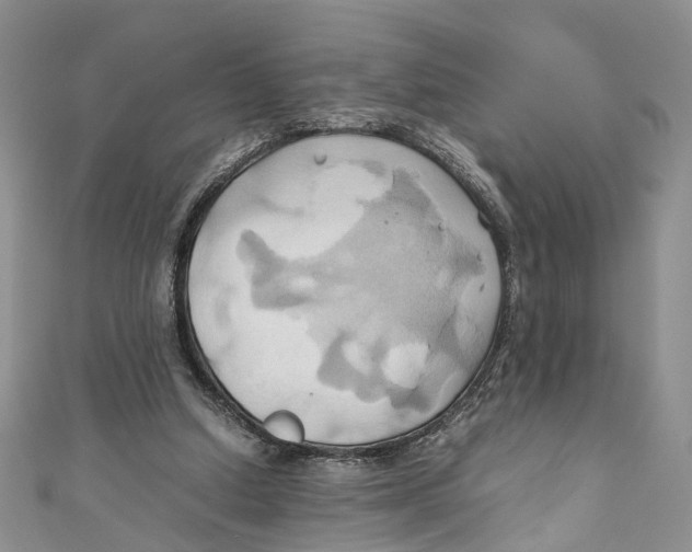 X0000110970250200907171717