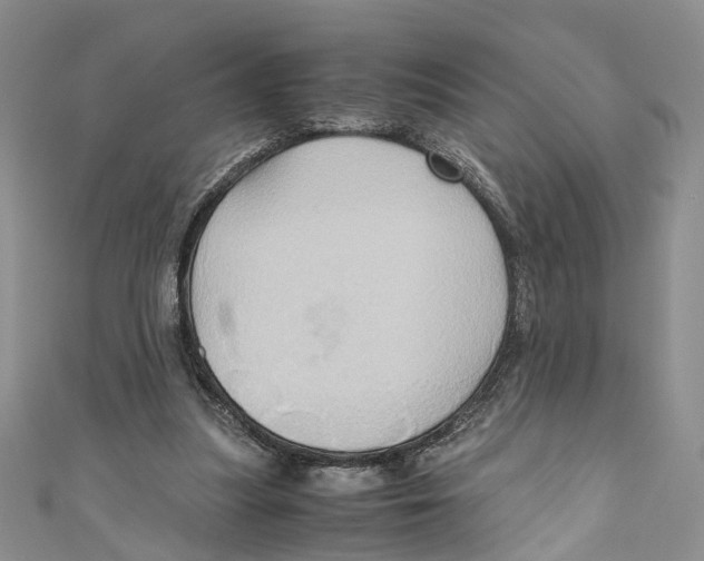 X0000110970251200907171717
