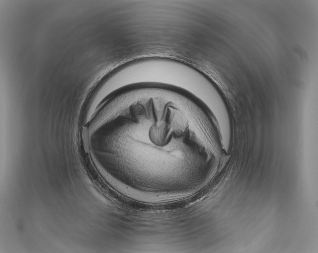 X0000110970252200907171717