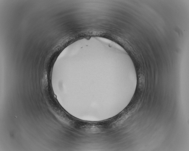 X0000110970254200907171717