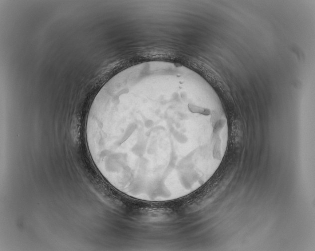 X0000110970255200907171717
