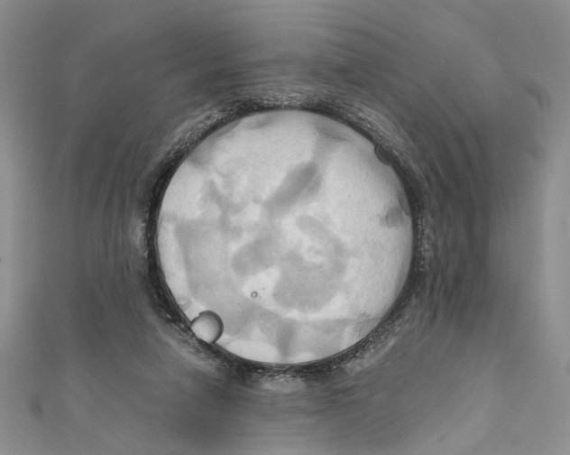 X0000110970258200907171717