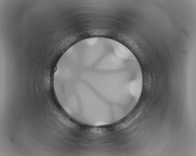 X0000110970261200907171717