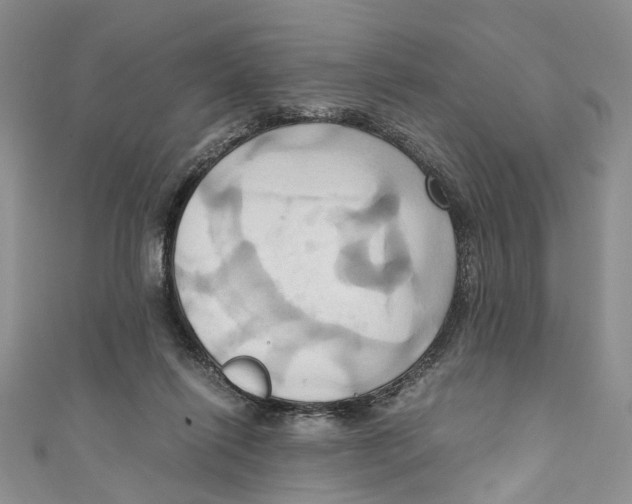 X0000110970262200907171717