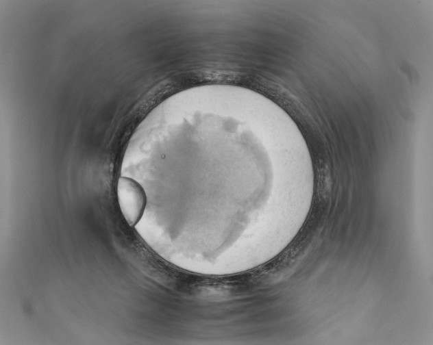 X0000110970263200907171717