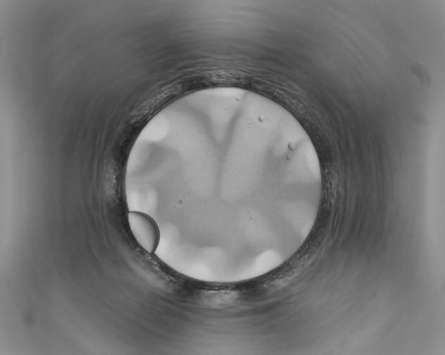 X0000110970266200907171717
