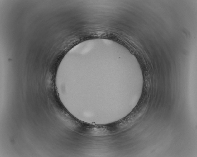 X0000110970270200907171717