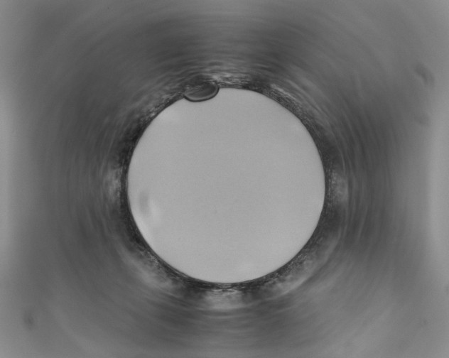 X0000110970271200907171717