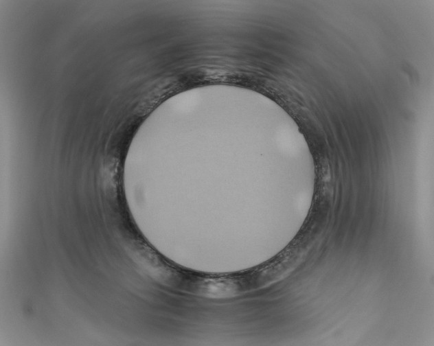 X0000110970275200907171717