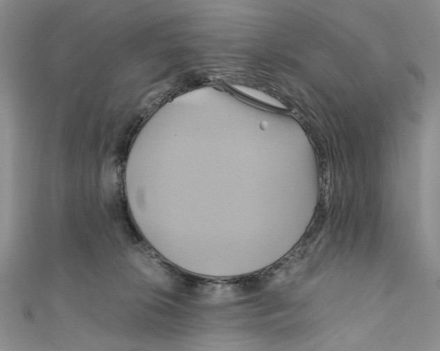 X0000110970276200907171717