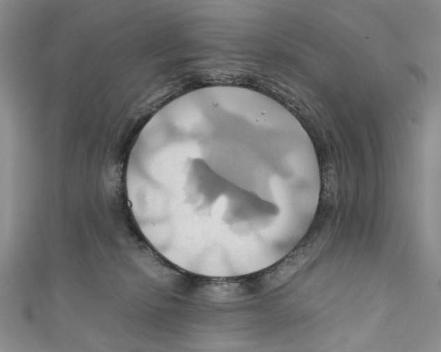 X0000110970278200907171717