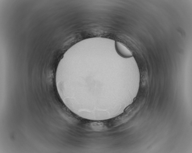 X0000110970279200907171717