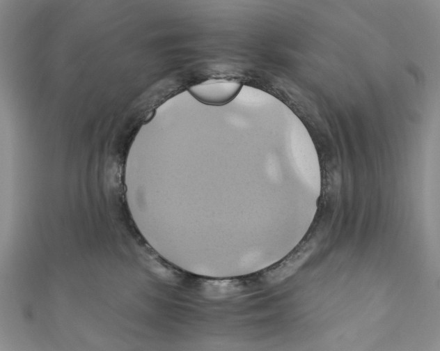 X0000110970281200907171717