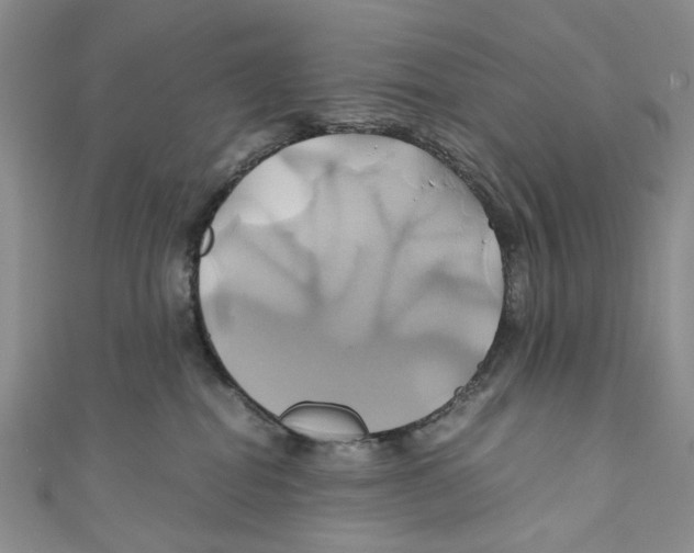 X0000110970282200907171717