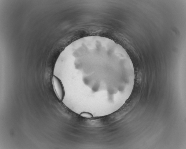 X0000110970283200907171717