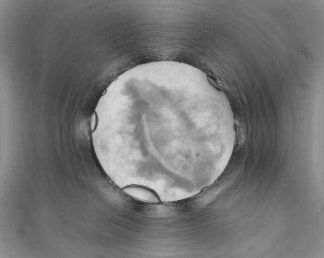X0000110970286200907171717