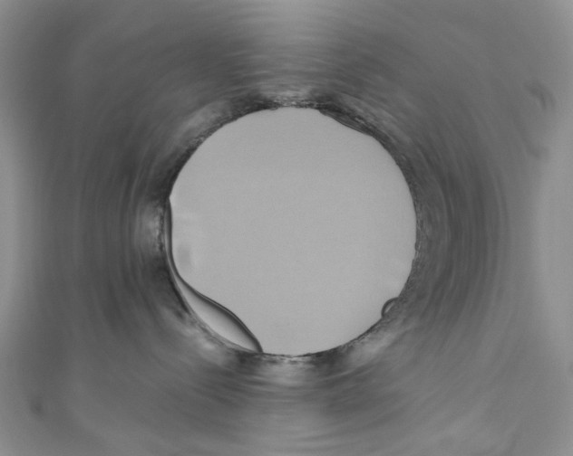 X0000110970288200907171717
