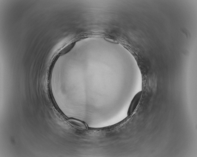 X0000110970293200907171716