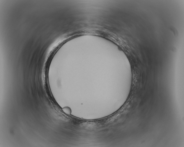 X0000110970294200907171716