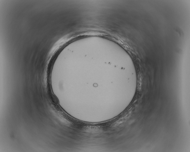 X0000110970296200907171716