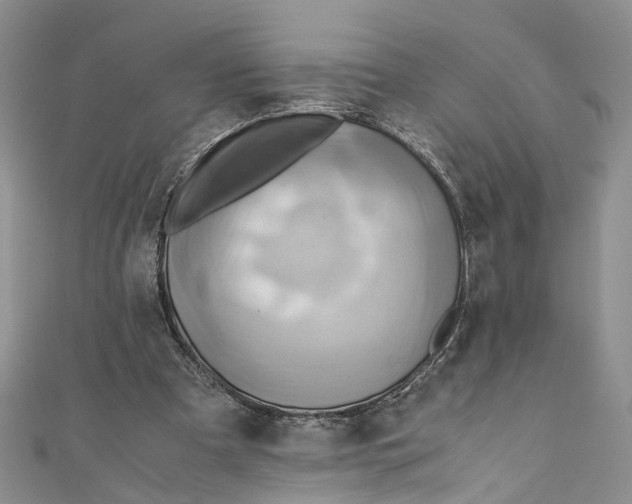 X0000110970297200907171716