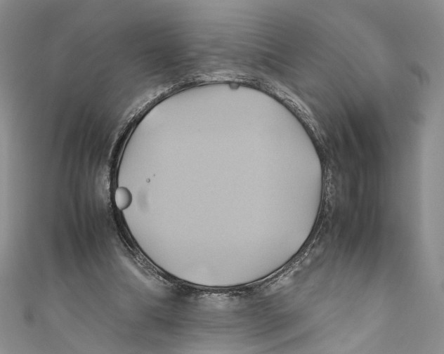 X0000110970298200907171716
