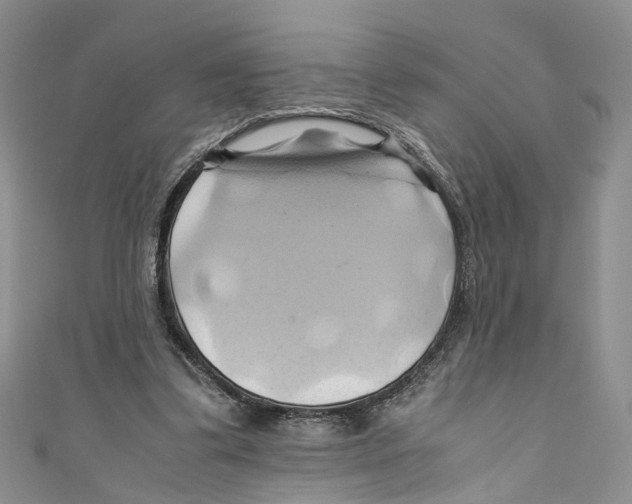 X0000110970299200907171716