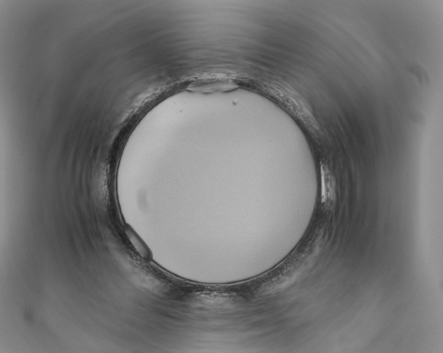 X0000110970300200907171716