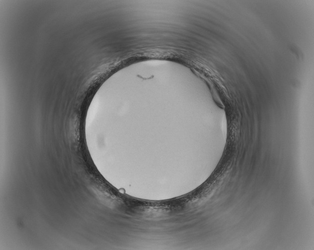 X0000110970303200907171716