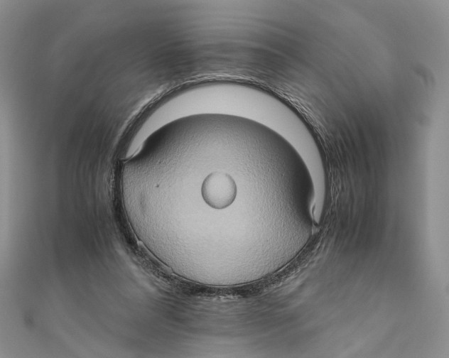 X0000110970304200907171716