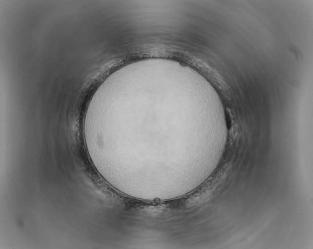 X0000110970306200907171716
