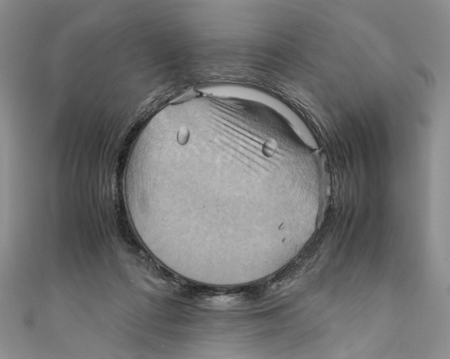 X0000110970312200907171716