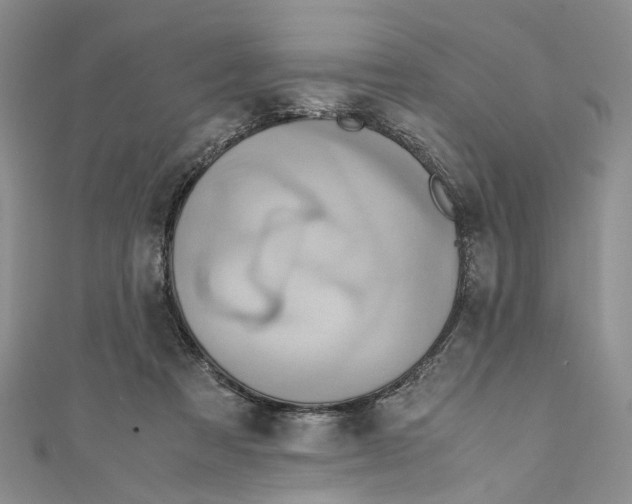 X0000110970313200907171716